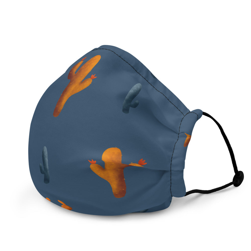 Sonoran Sky Premium face mask