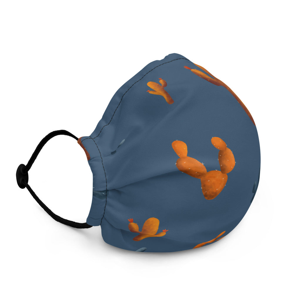 Sonoran Sky Premium face mask