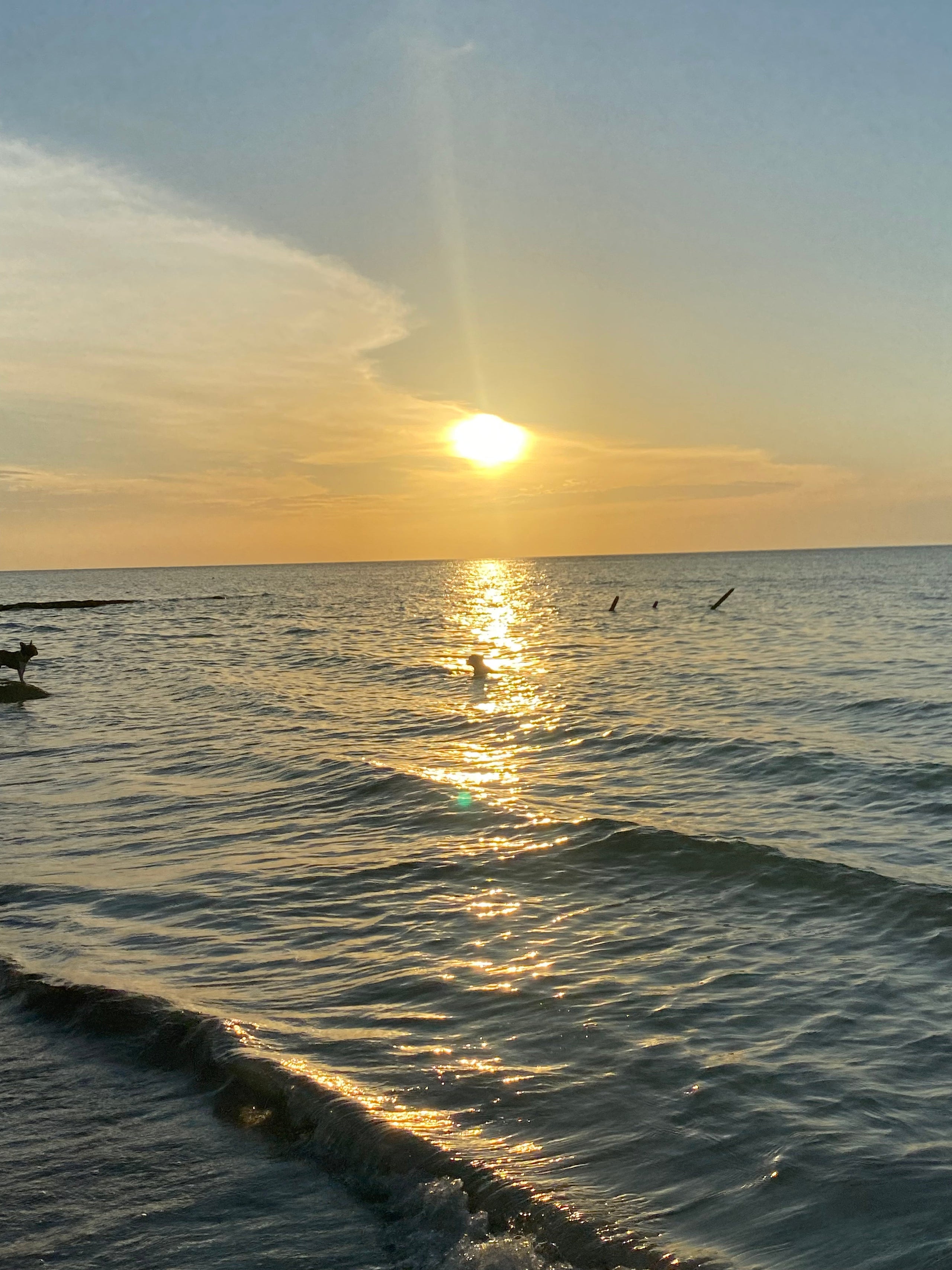 From the Sea