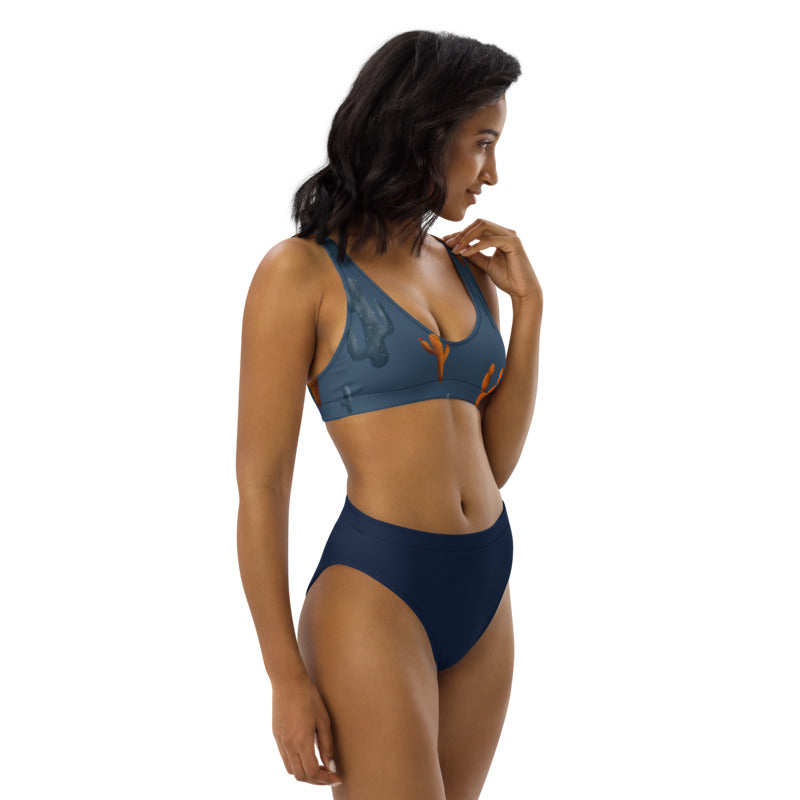 NEW Sonoran Sky Recycled high-waisted bikini