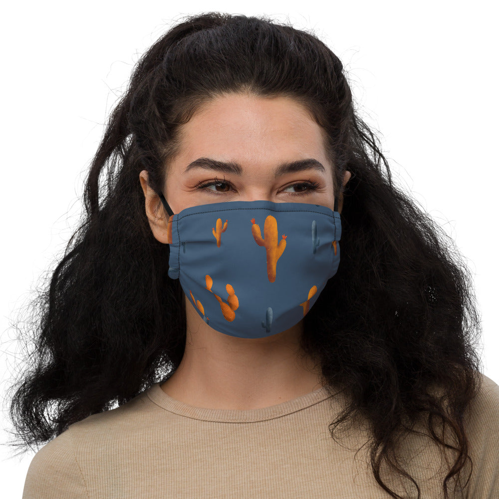 Sonoran Sky Premium face mask