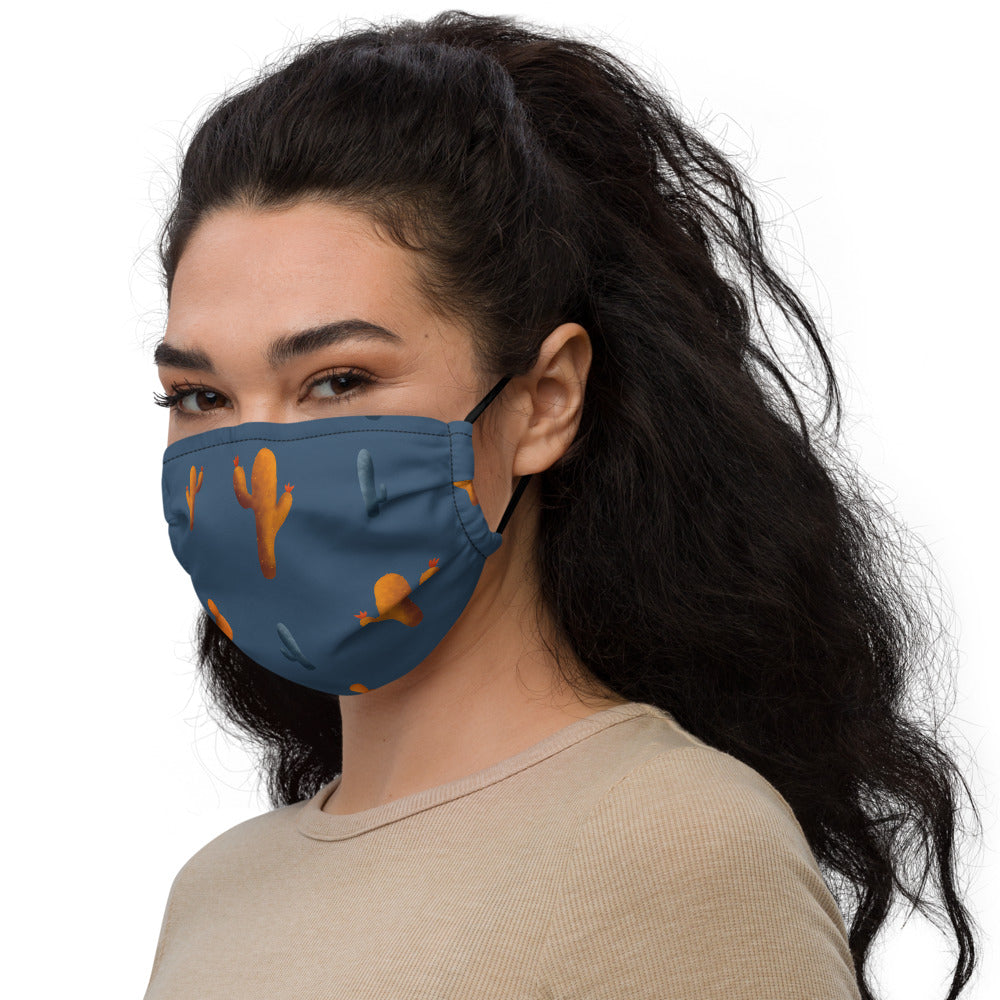 Sonoran Sky Premium face mask