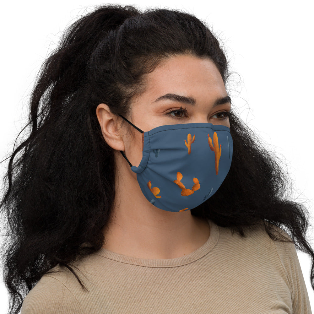 Sonoran Sky Premium face mask