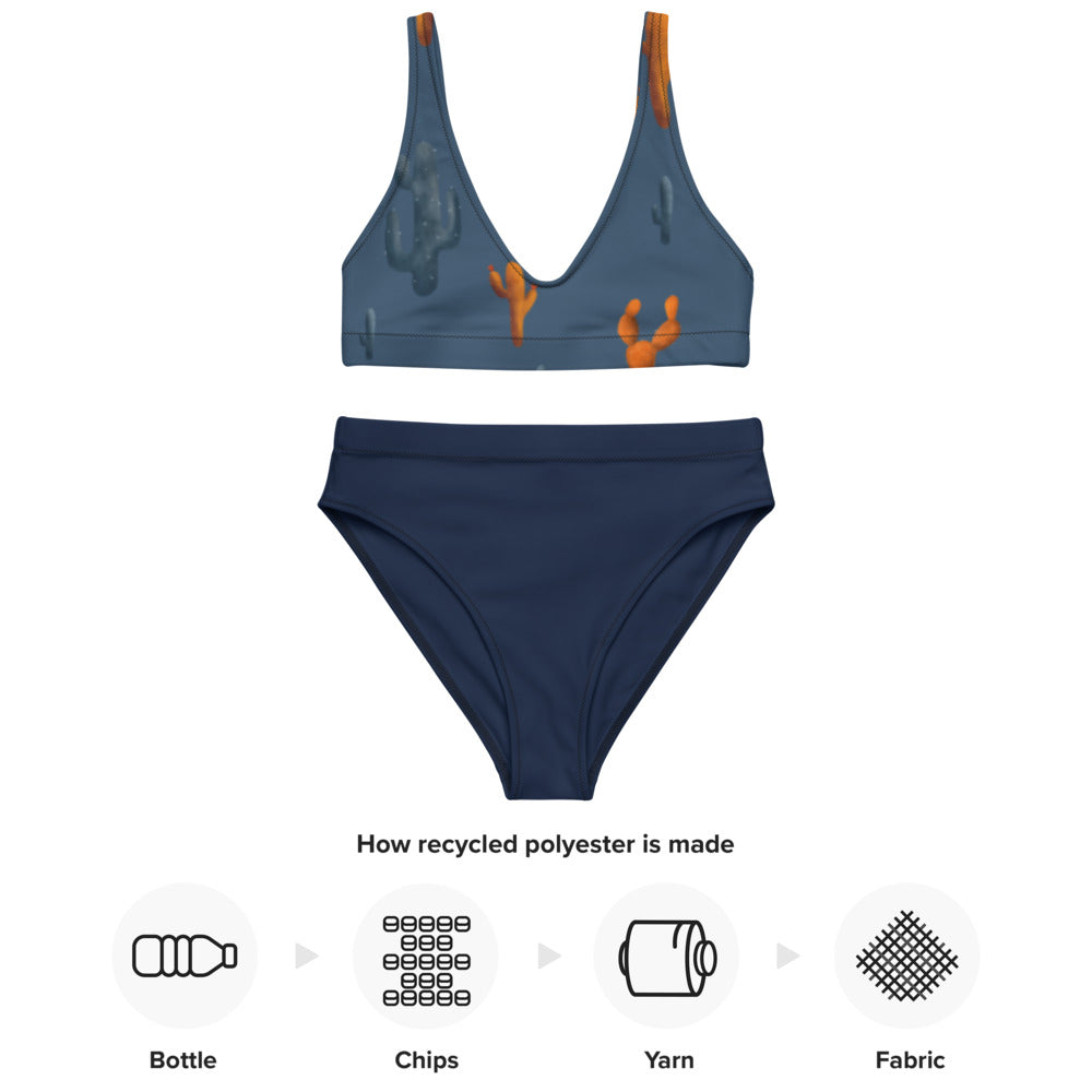 NEW Sonoran Sky Recycled high-waisted bikini